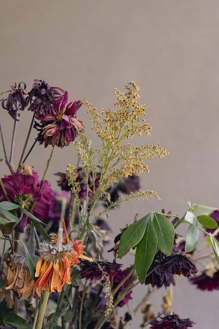 A floral arrangement featuring a mix of wilted and fading flowers, including dark purple and magenta blooms, with some orange and yellow petals. The bouquet is composed of various flower types, such a
