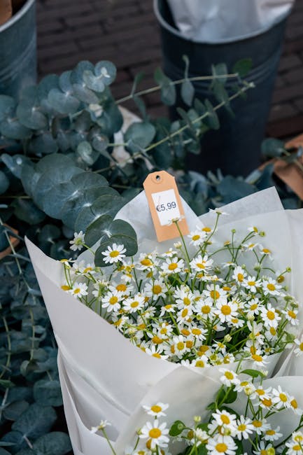 A bouquet of fresh daisies with white petals and yellow centers, wrapped in white paper with a small orange price tag indicating £5.99. The arrangement includes sprigs of eucalyptus with rounded, sil